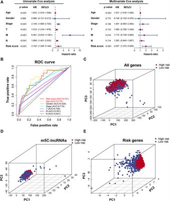 Construction of Prognostic Risk Model of 5-Methylcytosine-Related Long Non-Coding RNAs and Evaluation of the Characteristics of Tumor-Infiltrating Immune Cells in Breast Cancer